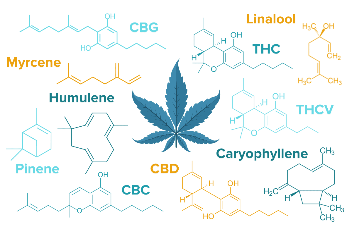 Cannabis For Inflammatory Bowel Disease: The Science & Practical ...