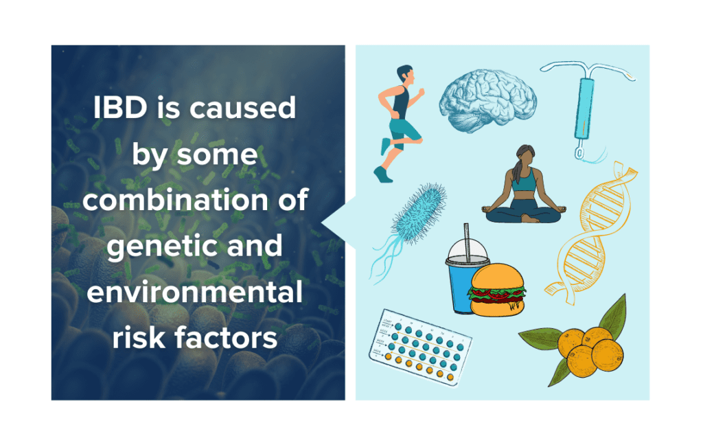 Cartoons of factors that influence IBD including exercise, meditation, the brain, birth control, microbes, food, and genetics.