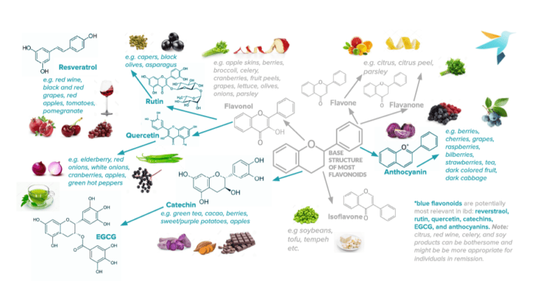 Flavonoids - A Powerful Prebiotic For Inflammatory Bowel Disease | IBDCoach