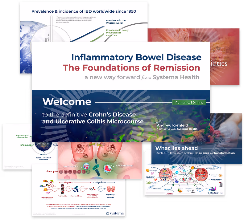 Explains the foundations of IBD remission